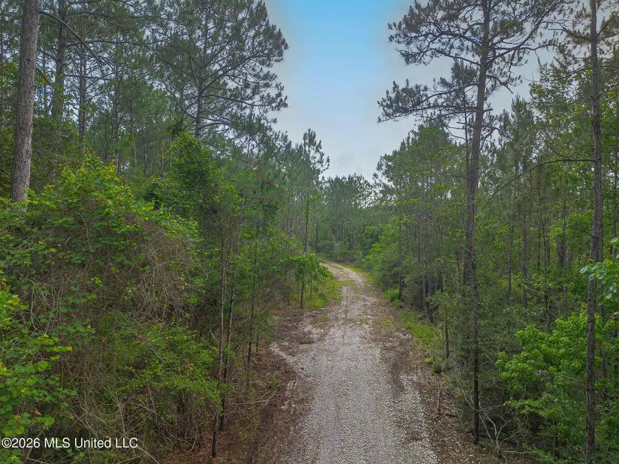 Parcel 2 Menge Avenue, Pass Christian, MS 39571 - #2