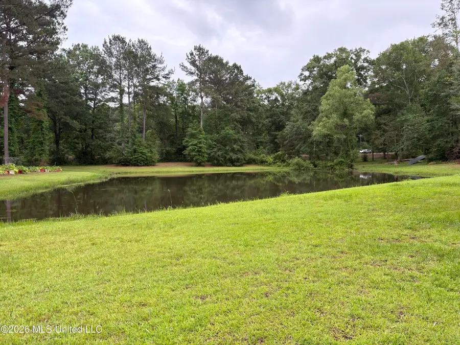 367 Highway 44, Jayess, MS 39641 - #2