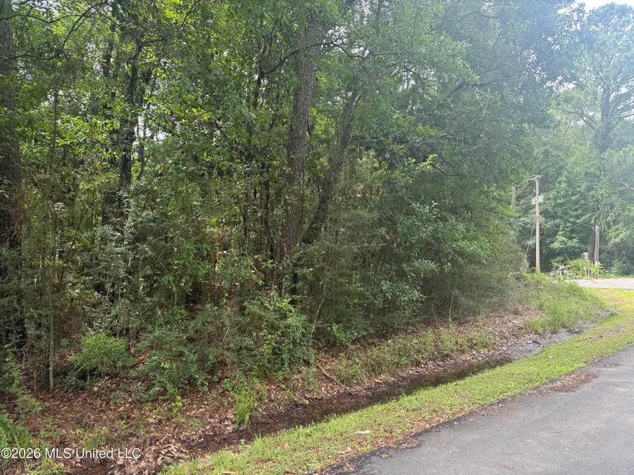Lundy Williams Road, Moss Point, MS 39562 - #2