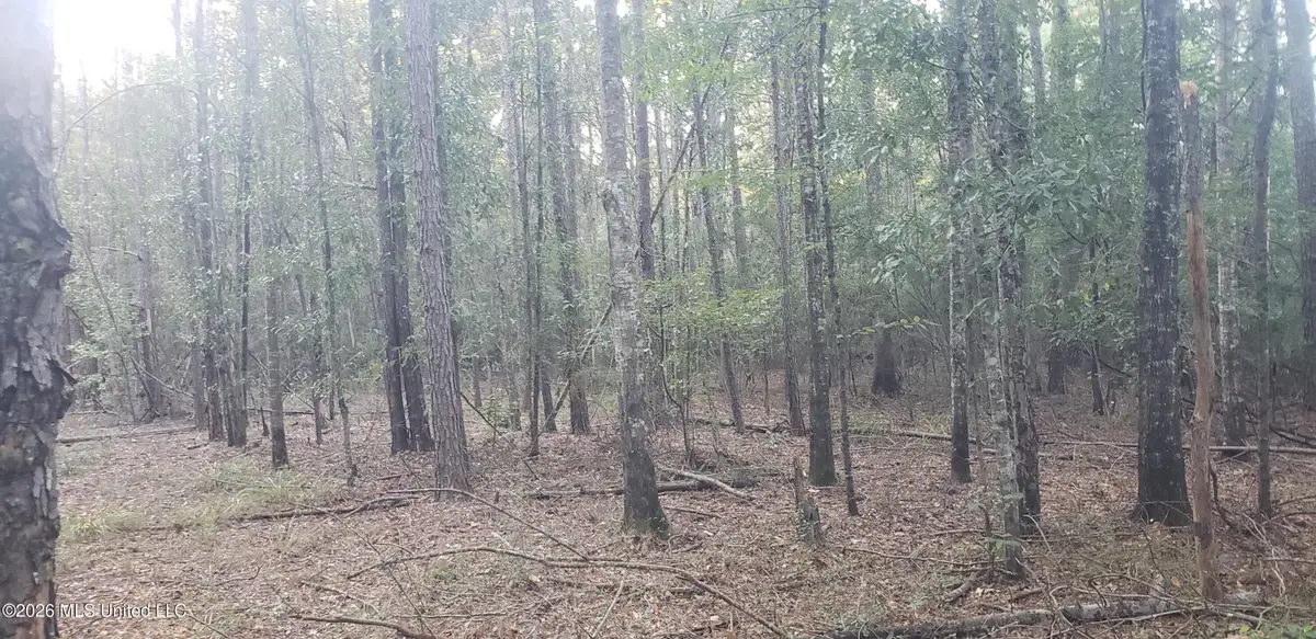 Alden Lane, Summit, MS 39666 - #1