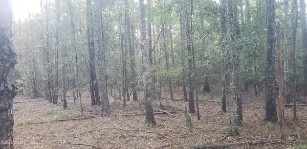 Alden Lane, Summit, MS 39666