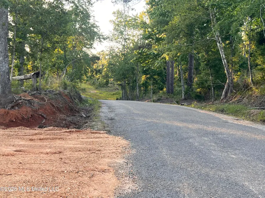 5734 Hebron Road, Liberty, MS 39645 - #2