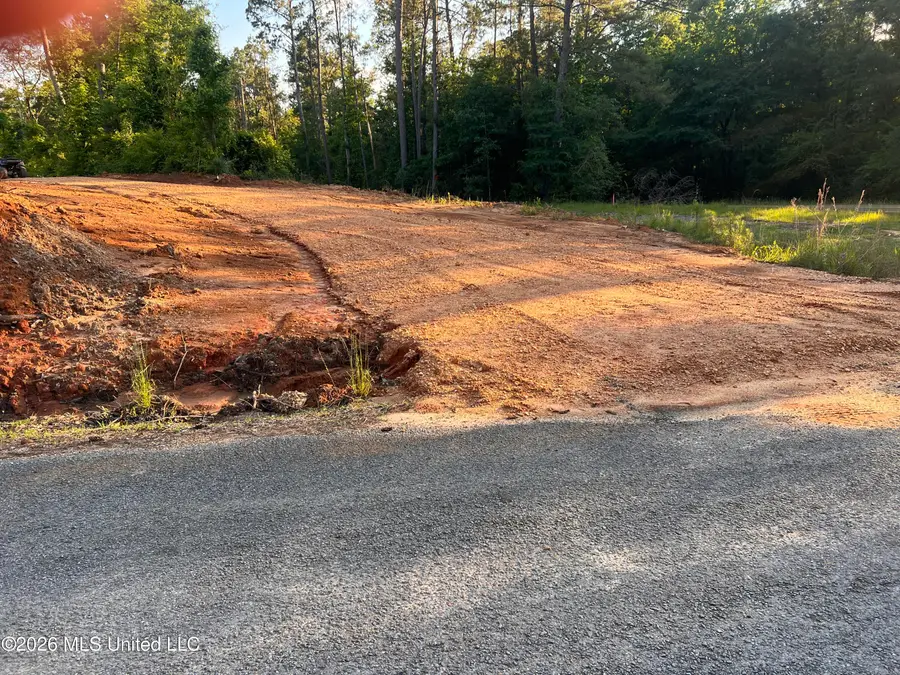 5734 Hebron Road, Liberty, MS 39645 - #3