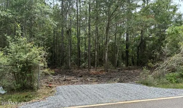 Parcel 1 Menge Avenue, Pass Christian, MS 39571 - #1