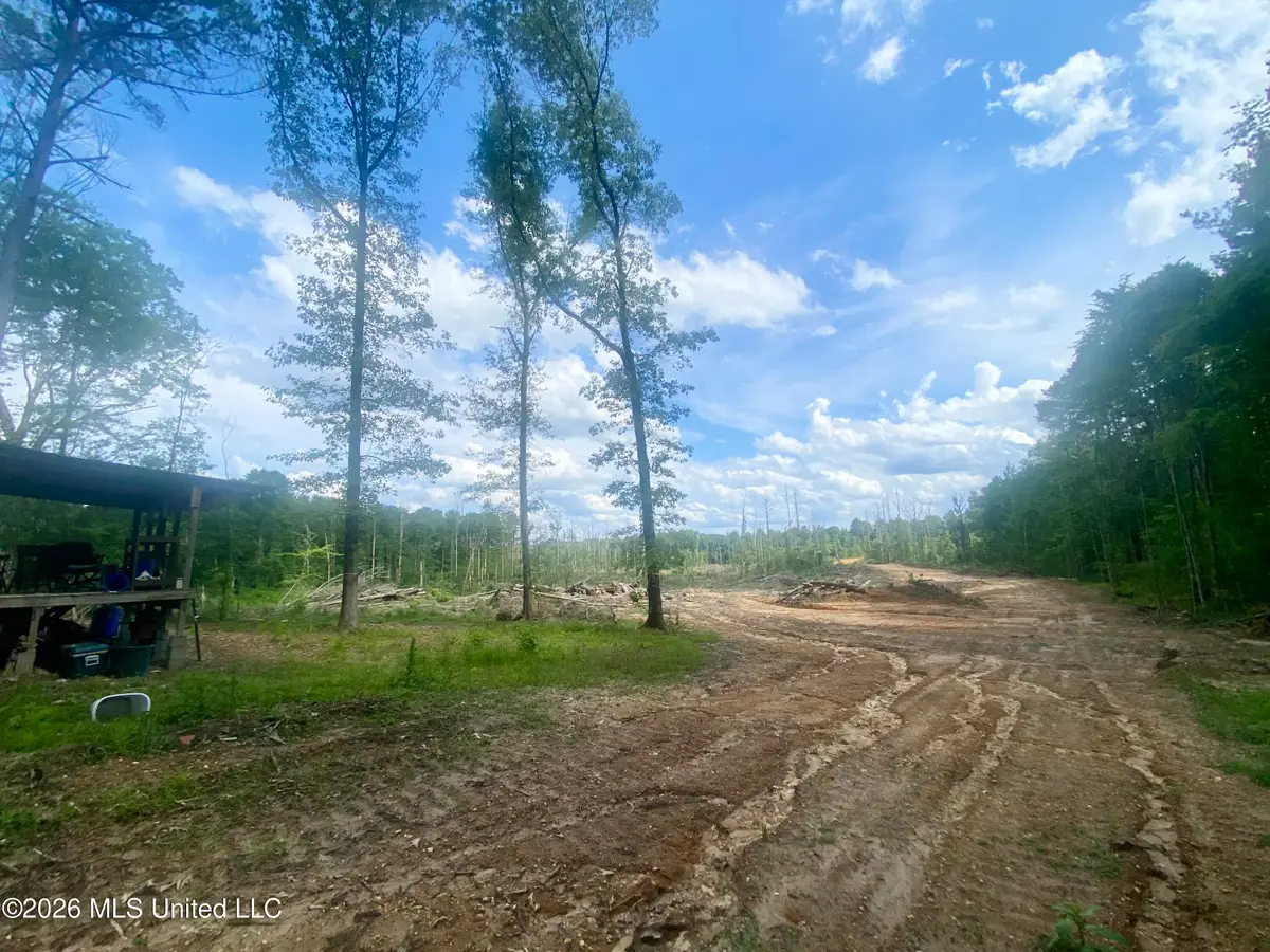 4194 Martinsville Road, Wesson, MS 39191 - #1