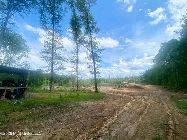4194 Martinsville Road, Wesson, MS 39191