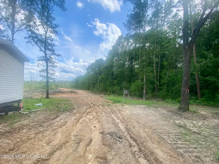 4194 Martinsville Road, Wesson, MS 39191 - #3