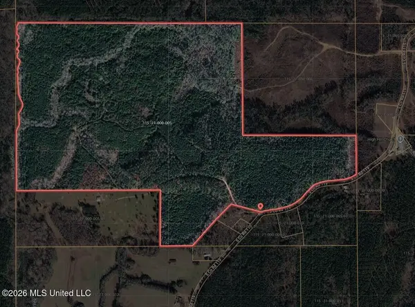 0 S Co Rd 119, Raleigh, MS 39153