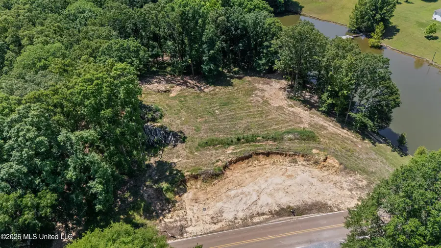 6851 Alphaba Road, Coldwater, MS 38618 - #3