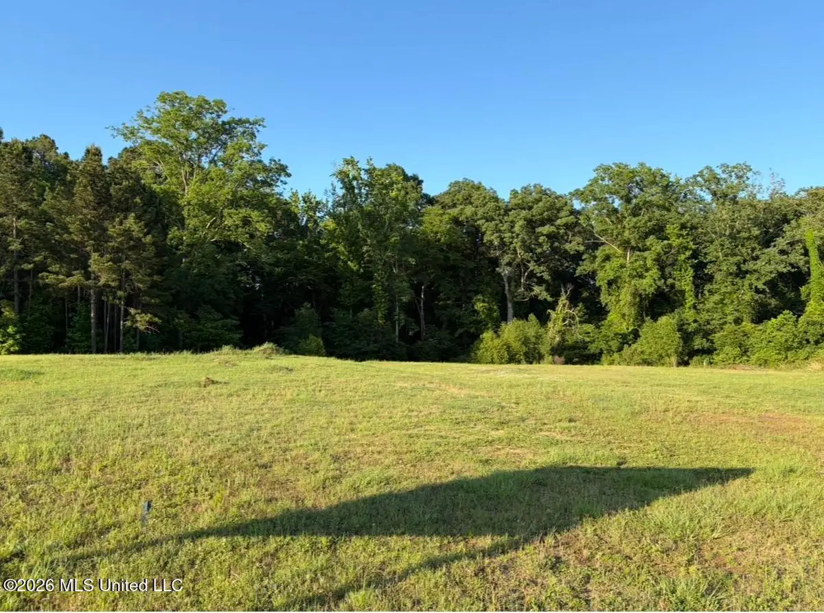 6599 Wirtz Road, Flowood, MS 39232 - #1