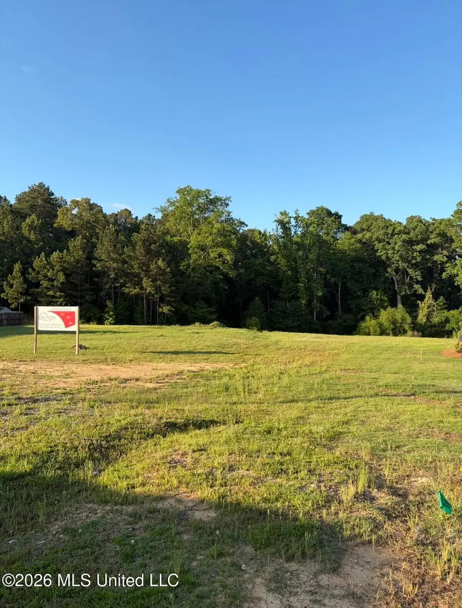 6599 Wirtz Road, Flowood, MS 39232 - #2