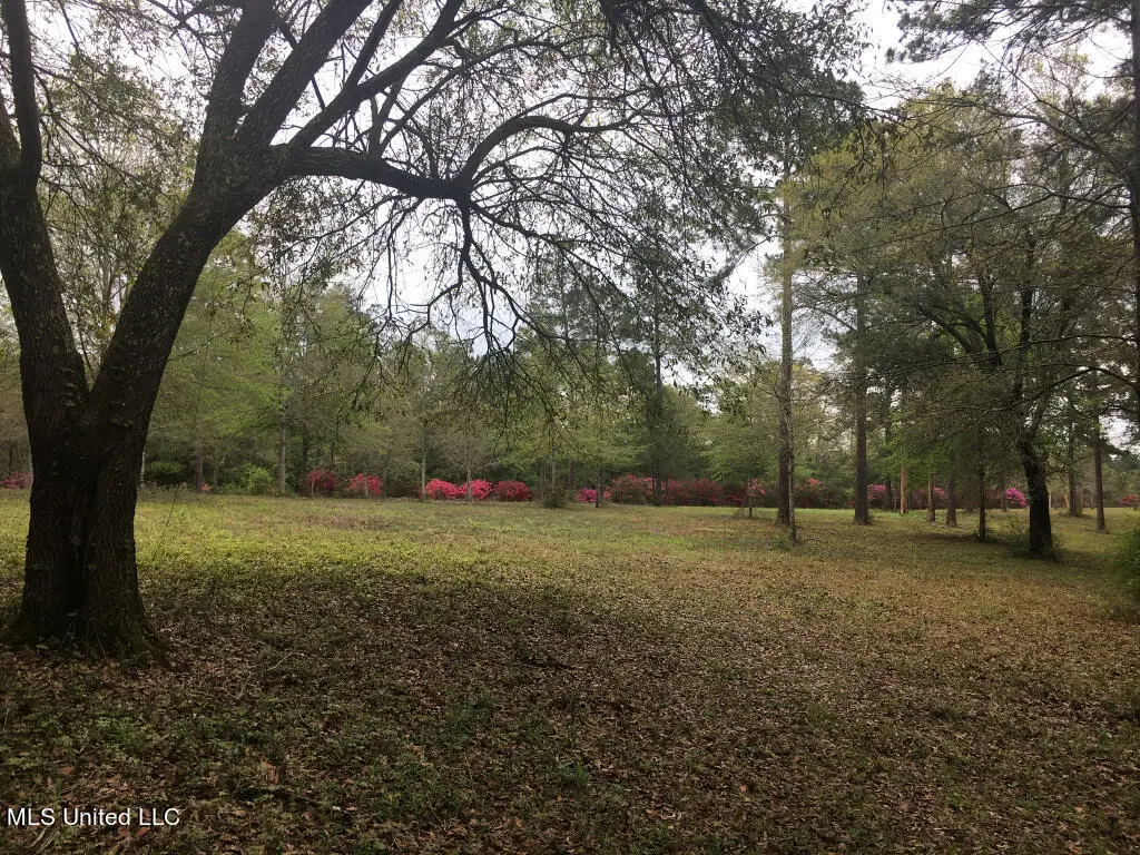 1 Lost Lunker Drive, Poplarville, MS 39470 - #1
