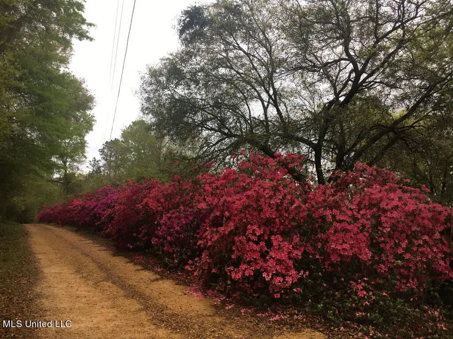 1 Lost Lunker Drive, Poplarville, MS 39470 - #2