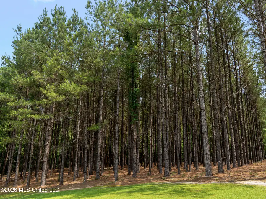 336 Toby Landrum, Waynesboro, MS 39367 - #3