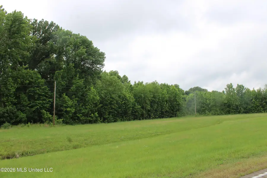 1 Eason Farm Road, Byhalia, MS 38611 - #3