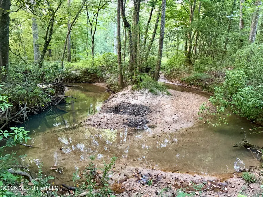 California Rd, Brookhaven, MS 39601 - #3