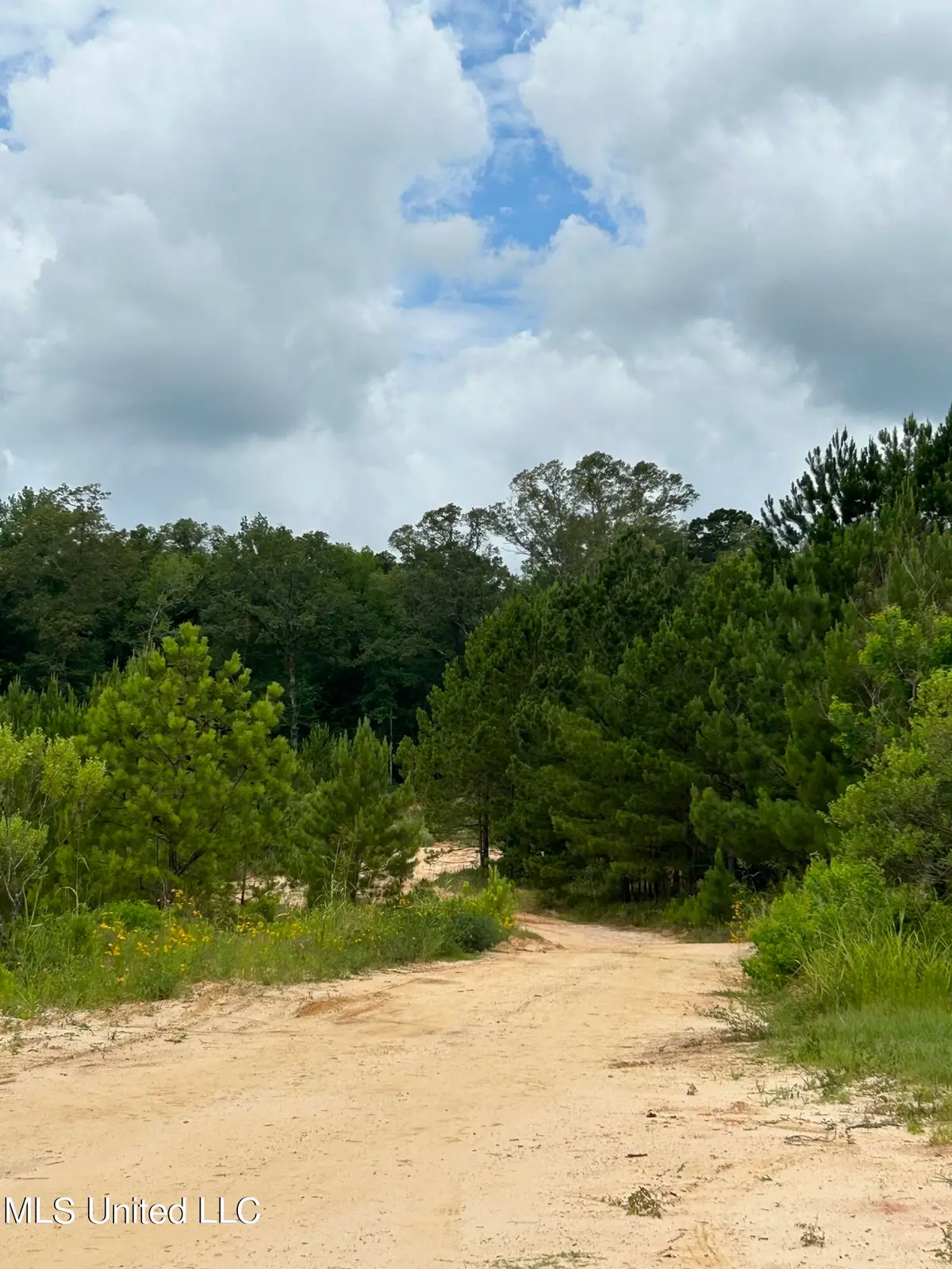 White Road, Florence, MS 39073 - #1