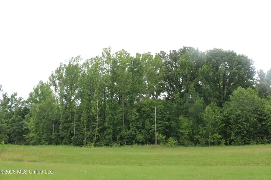 6 Eason Farm Road, Byhalia, MS 38611 - #3