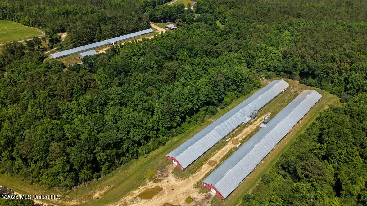 Smithtown Chicora Road, State Line, MS 39362 - #1