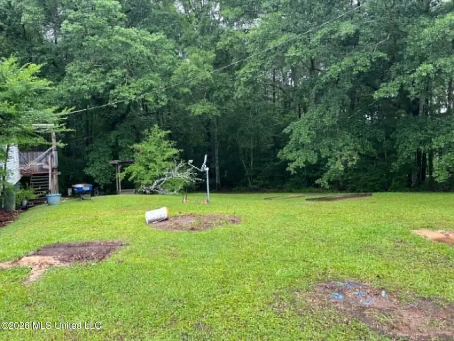 1066 Highway 43, Pelahatchie, MS 39145 - #3