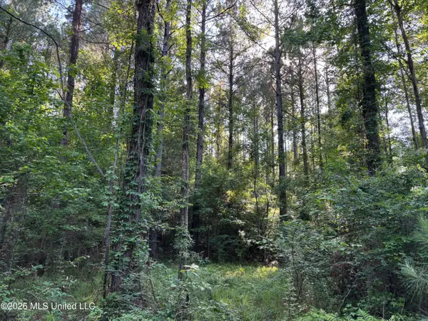 Beach Road, Roxie, MS 39661