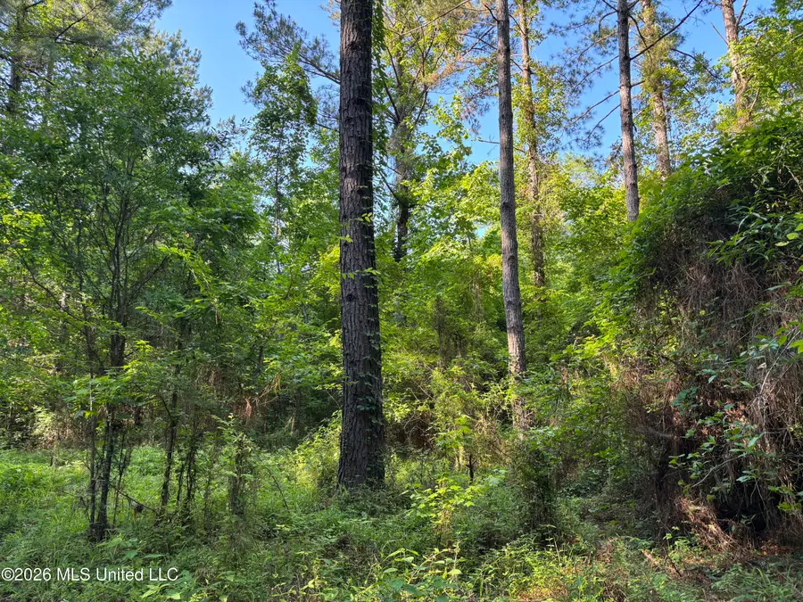 Beach Road, Roxie, MS 39661 - #2