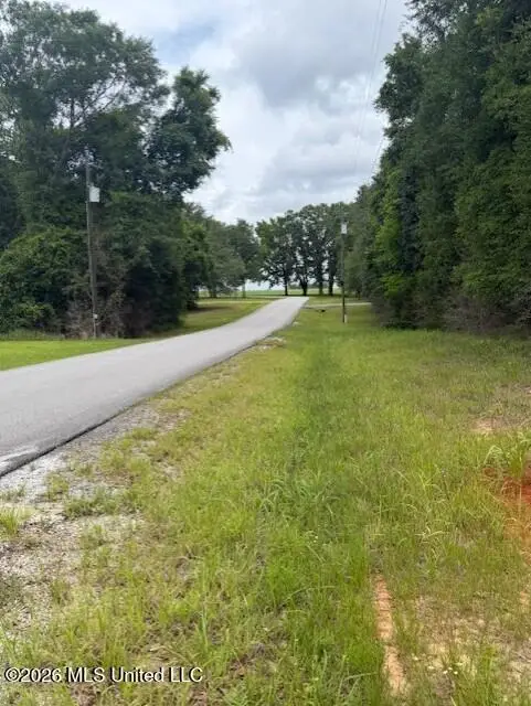 143 Mill Creek Lane, Lucedale, MS 39452 - #3