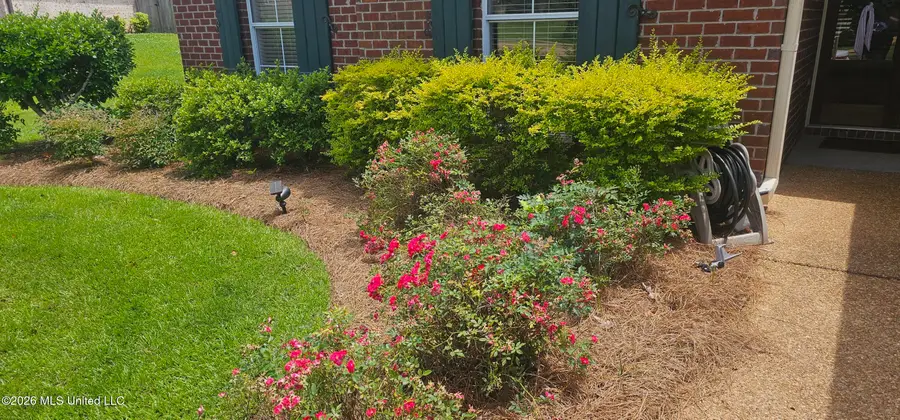 157 Devlin Springs Drive, Madison, MS 39110 - #2