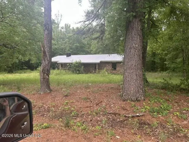 248 Jerry Town Lane, Sontag, MS 39665 - #2