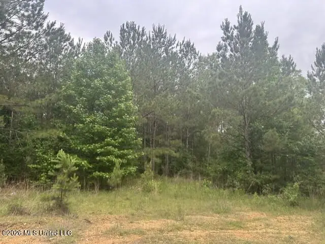 1048 Williamson Road, Wesson, MS 39191 - #1