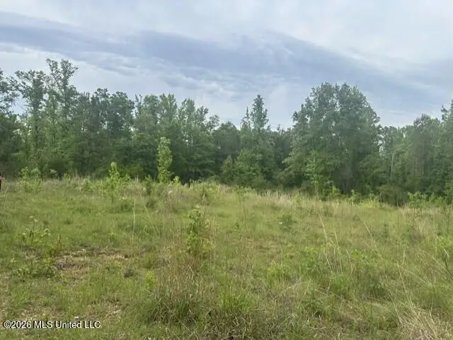 1048 Williamson Road, Wesson, MS 39191 - #2