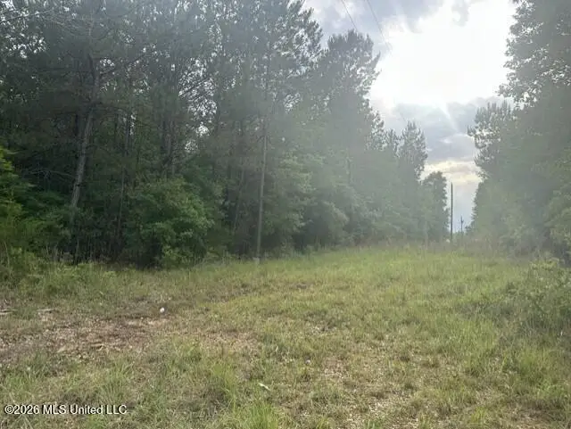 1048 Williamson Road, Wesson, MS 39191 - #3
