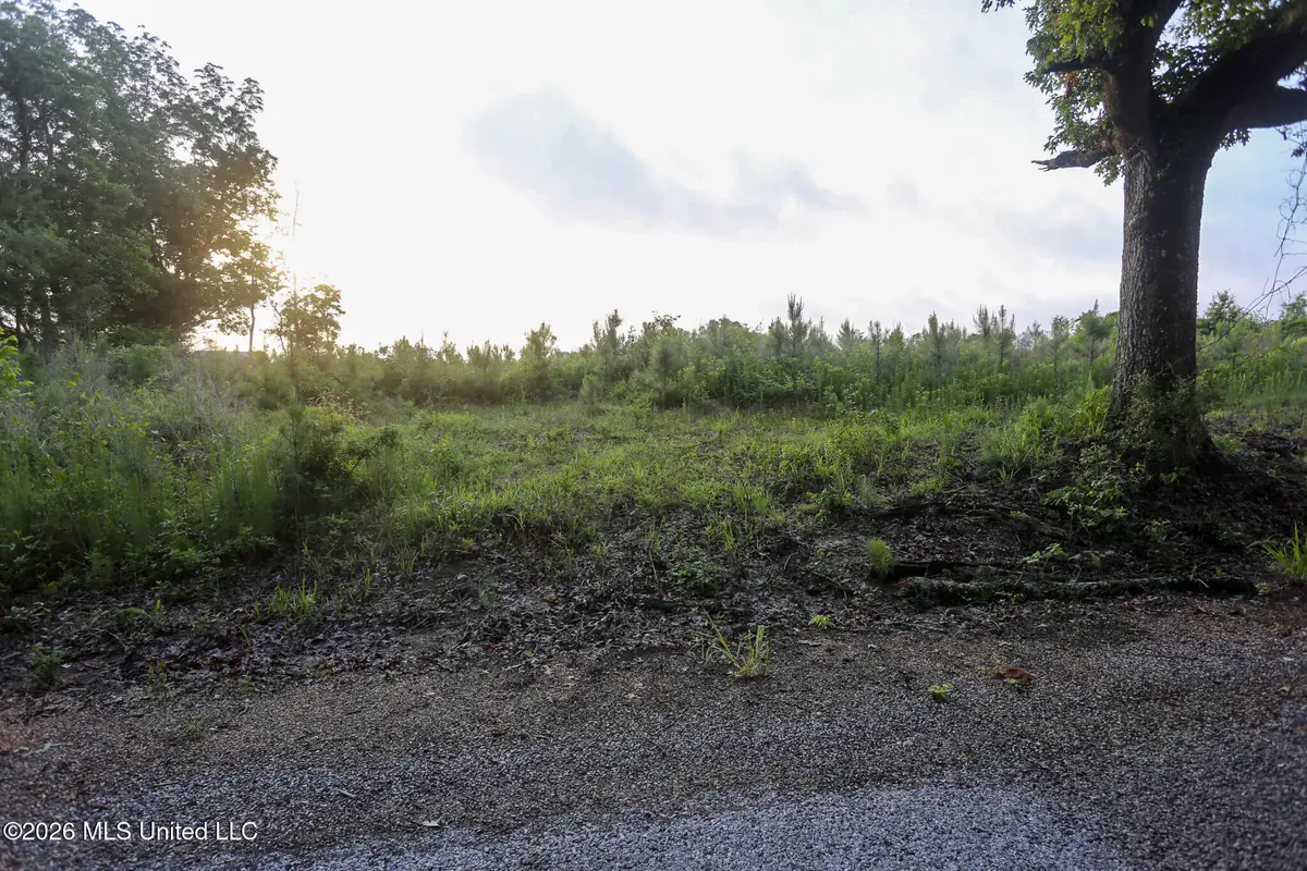 Oak Grove Road, Mendenhall, MS 39114 - #1