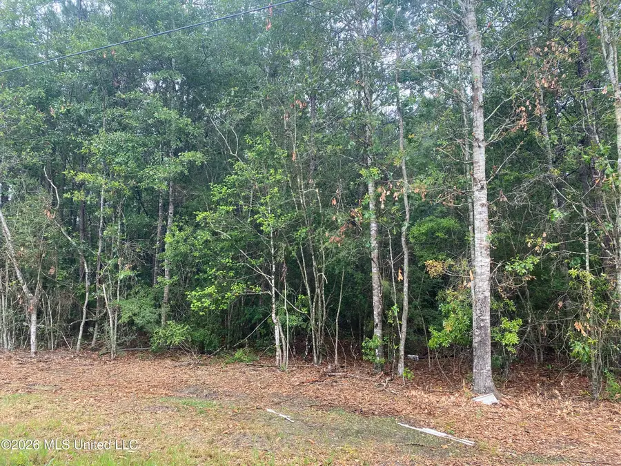 21205 S Fork Road, Saucier, MS 39574 - #3