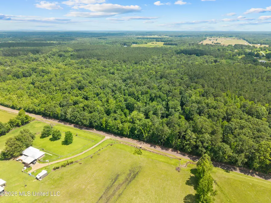 0 New Home Church Road, Jayess, MS 39641 - #3