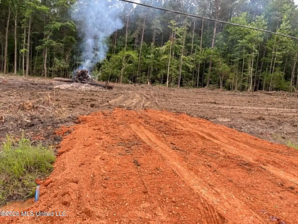 715 Old Pinola Braxton Road, Braxton, MS 39044 - #1