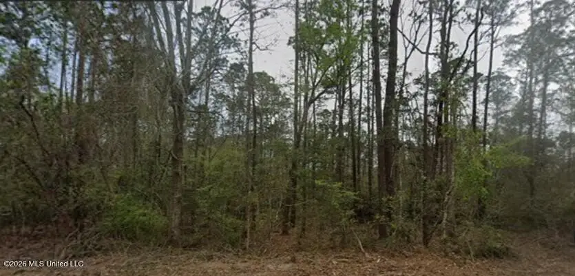 0 Aila Street, Diamondhead, MS 39525 - #1