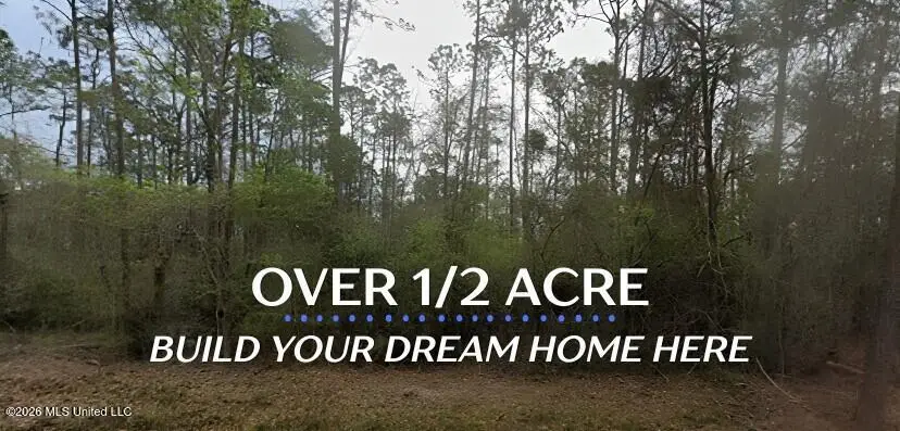0 Aila Street, Diamondhead, MS 39525 - #1