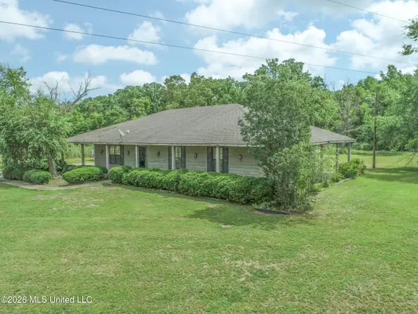2336 Dummyline Road, Lambert, MS 38643