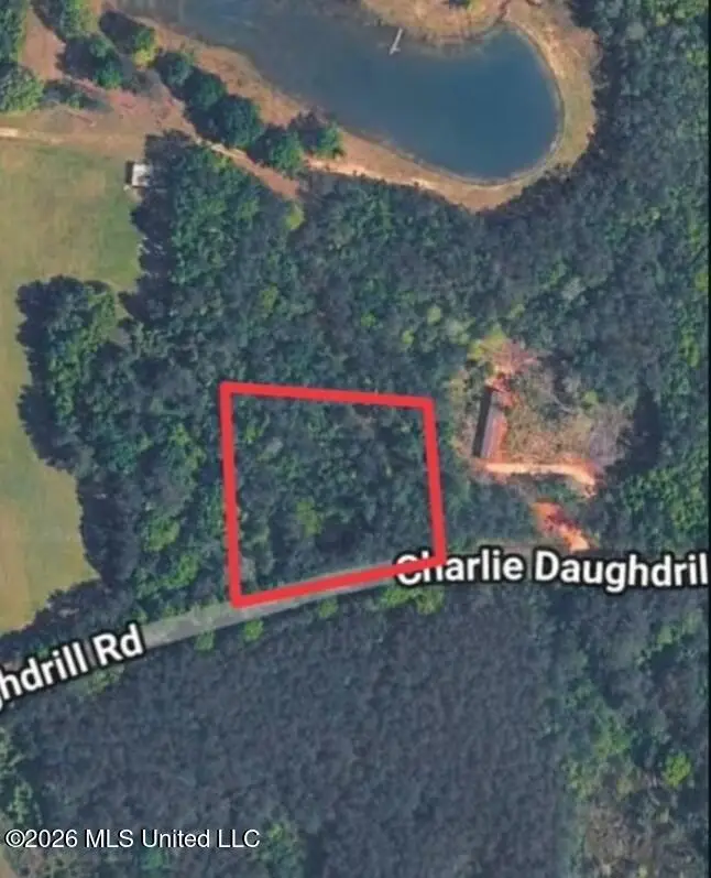 1 Acre Charlie Daughdrill Road, Carriere, MS 39426 - #1