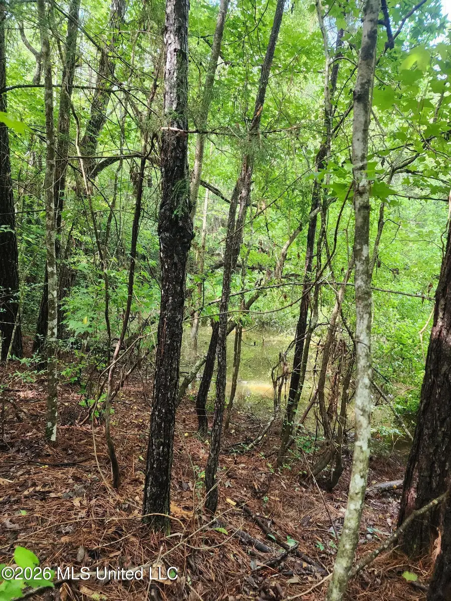 1 Acre Charlie Daughdrill Road, Carriere, MS 39426 - #2