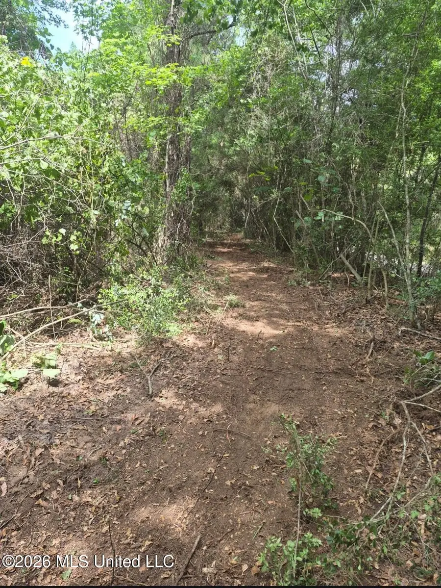 1 Acre Charlie Daughdrill Road, Carriere, MS 39426 - #3