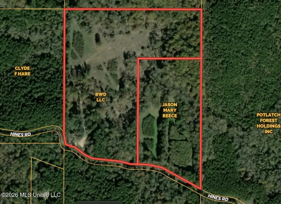 672 Hines Road, Camden, MS 39045 - #3