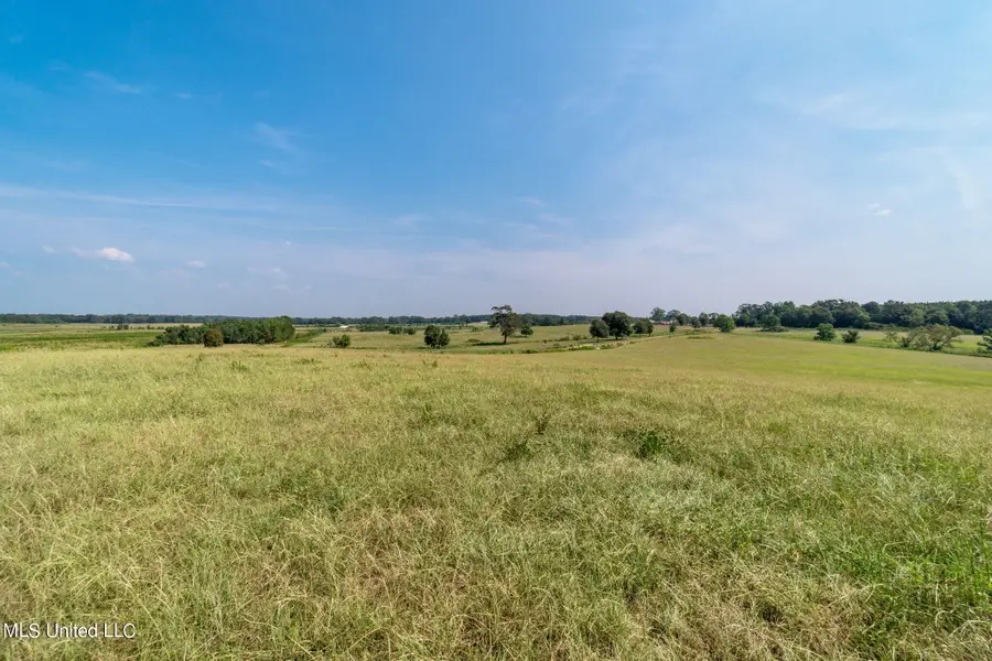 603 Osborn Moody Road, Poplarville, MS 39470 - #2