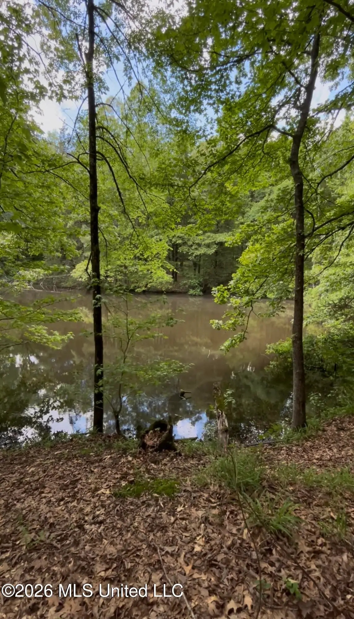 5235 Highway 51, Hernando, MS 38632 - #1