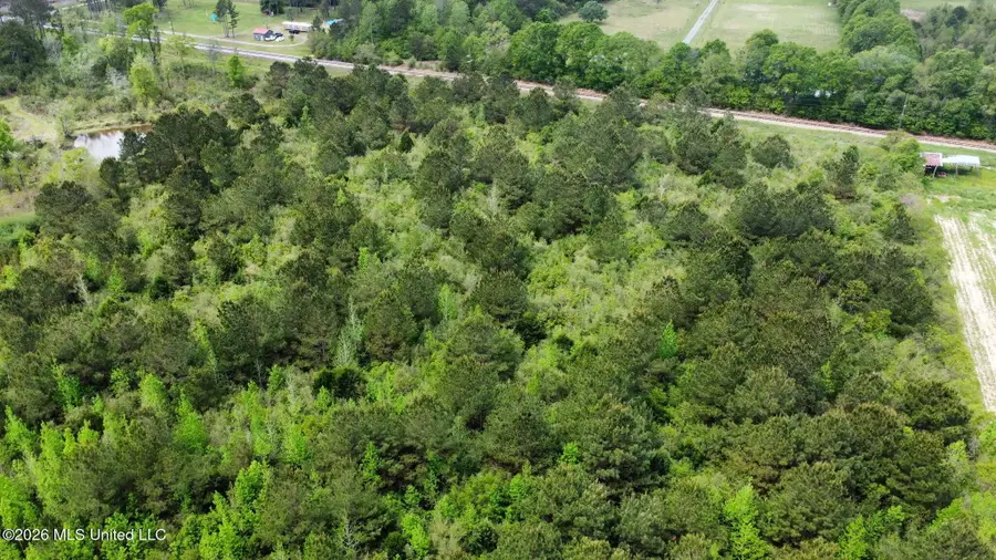 6211 Wesley Powell Road, Lucedale, MS 39452 - #3