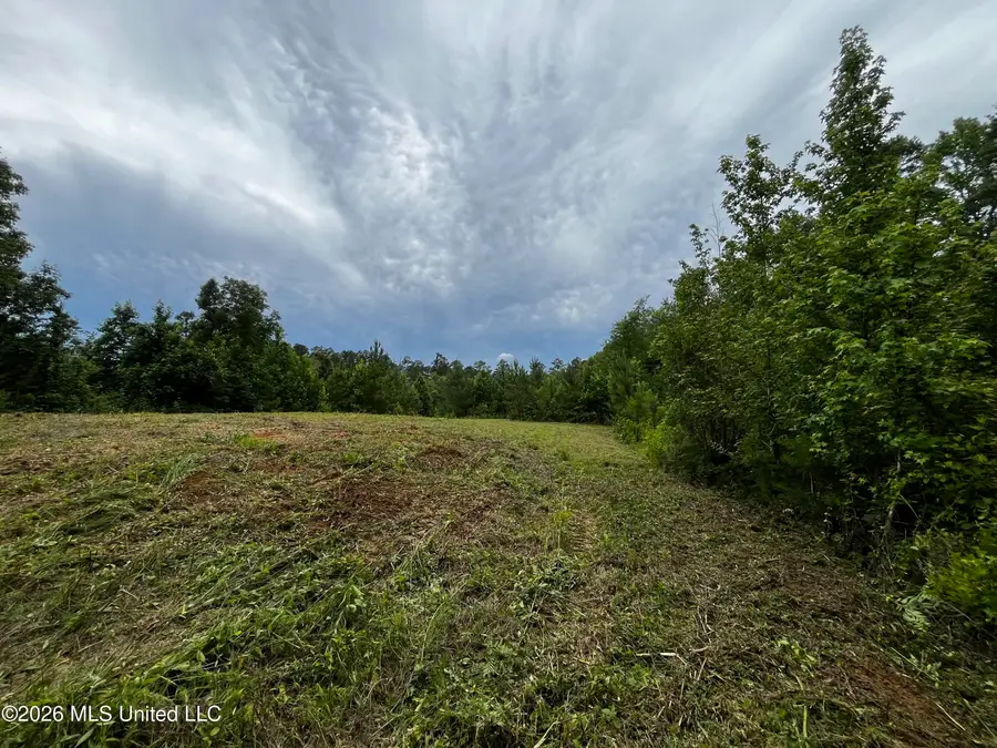 Cline Road, Wesson, MS 39191 - #3