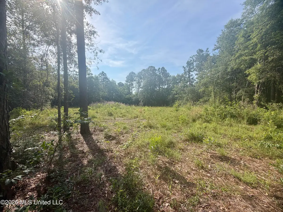 112 Pine Ridge Drive, Picayune, MS 39466 - #1