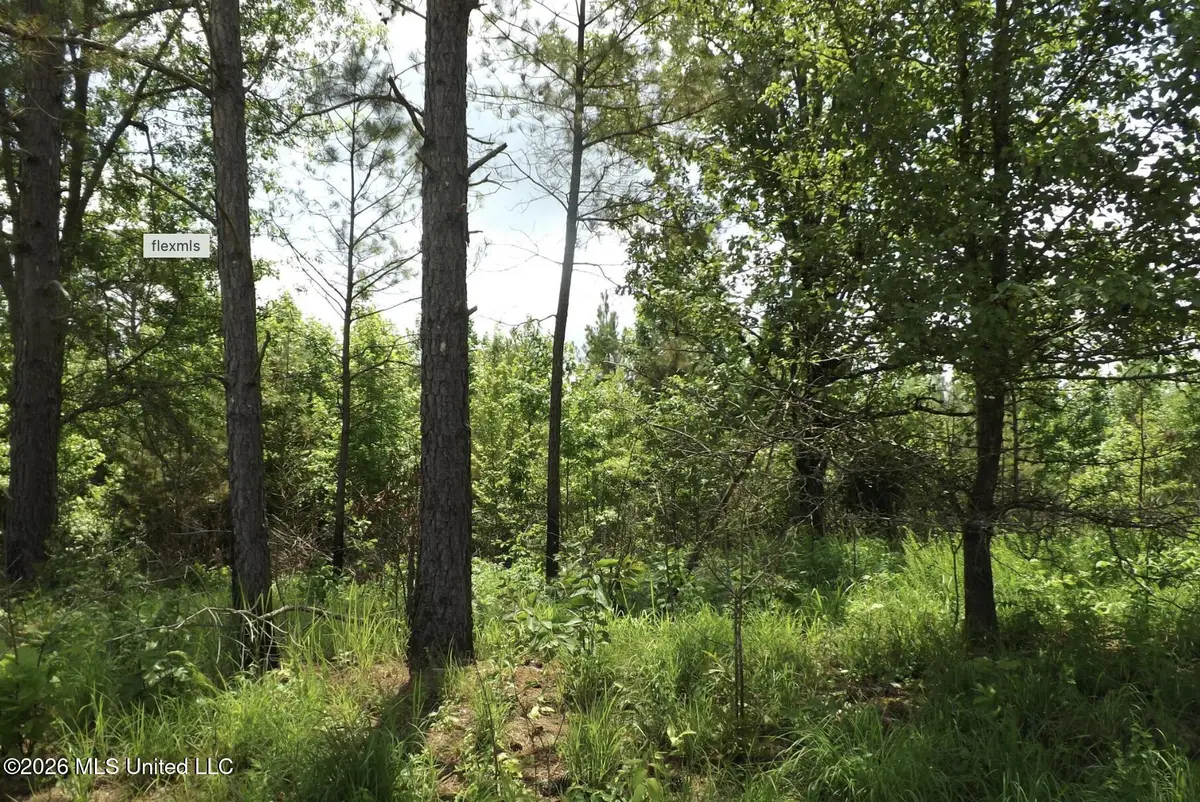 Randletown Road, Lexington, MS 39095 - #1