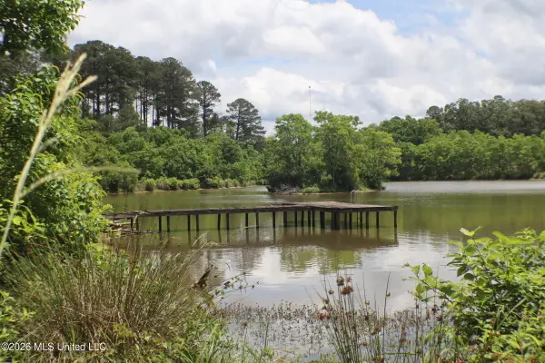Vine Drive, Brandon, MS 39047